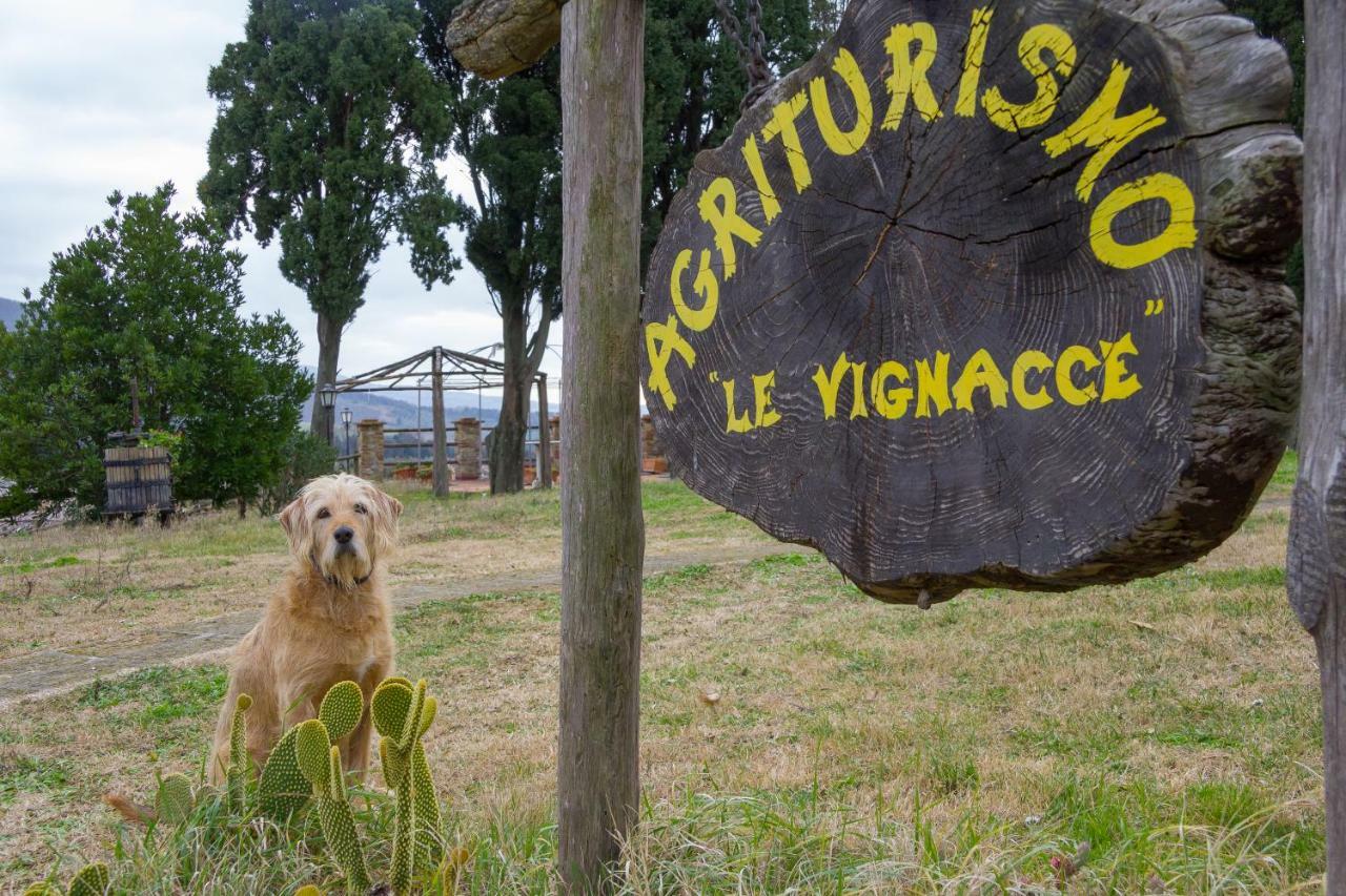 Agriturismo Le Vignacce Villa Santa Luce Exterior foto